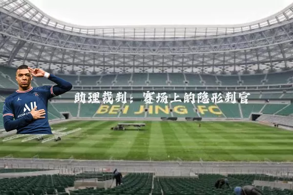 助理裁判:赛场上的隐形判官